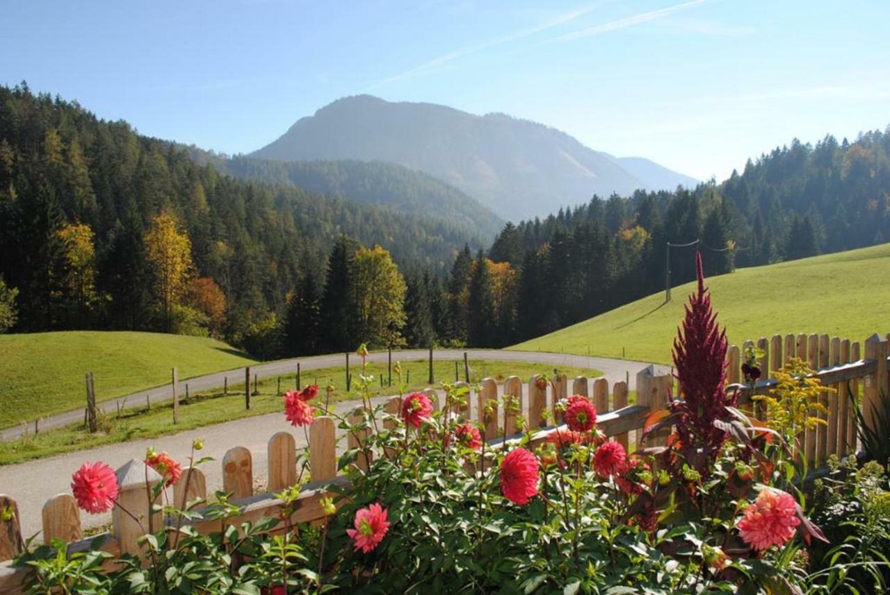 Familienbauernhof Glockriegl Villa Lunz am See Luaran gambar